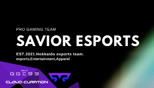 セイバーe スポーツチー